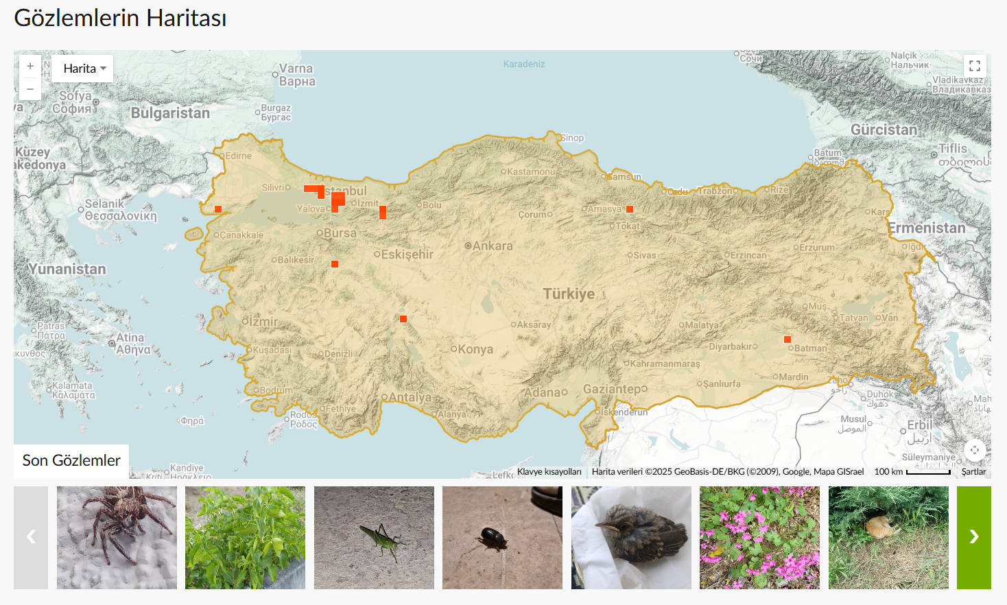 Ekran görüntüsü 2025-07-30 151738.png (1.81 MB)